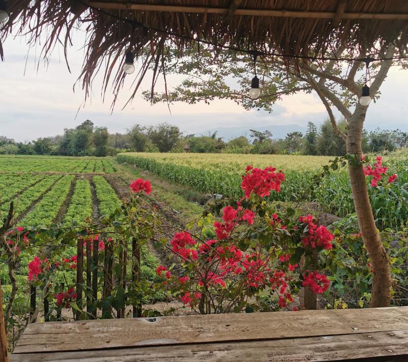 Chiang Dao House | Wichouda Cottage - Self Check-in