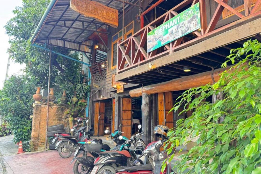 Old City Hotel | Collection O Baan Elephant Home