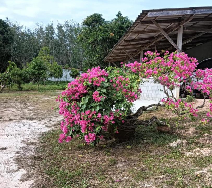 Ko Lanta House | Bansuan Lanta Maikaew
