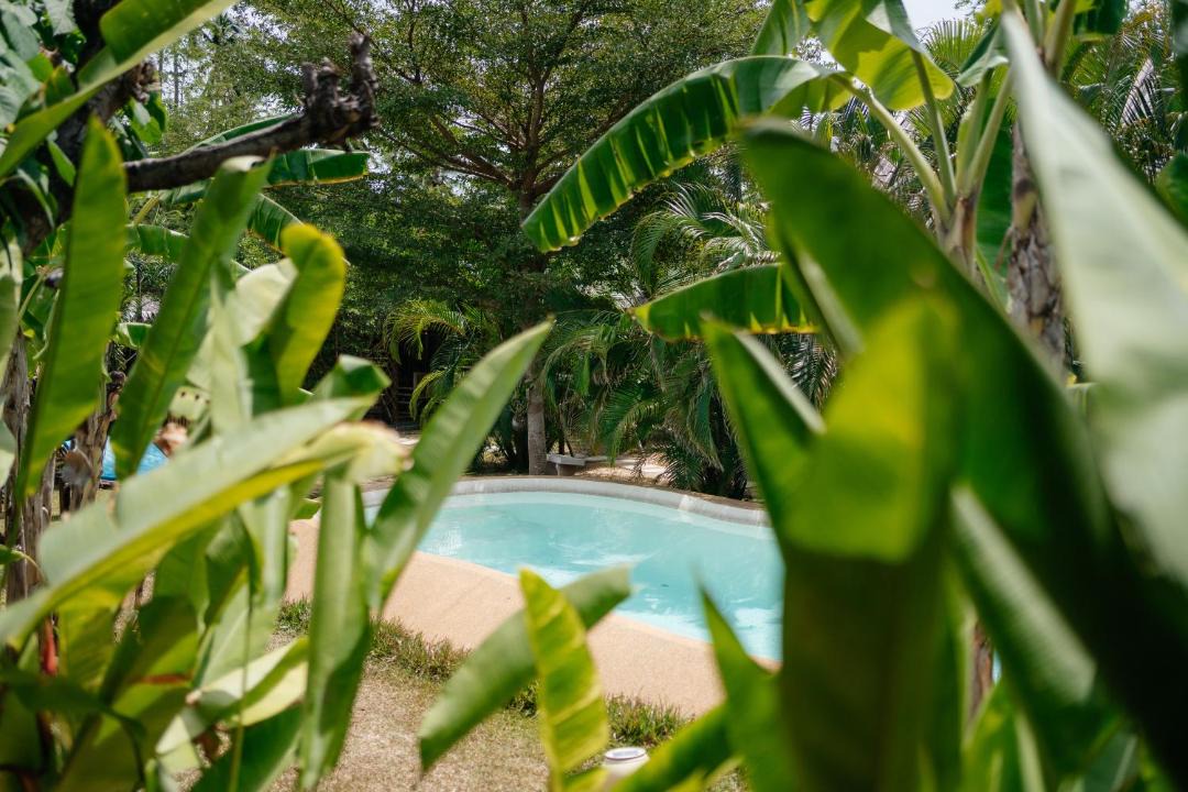 Mae Nam Bed & Breakfast | Samui Blue Bird