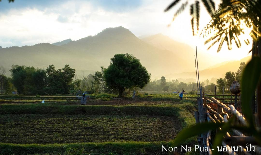 Pua House | NON NA PUA - นอนนา ปัว