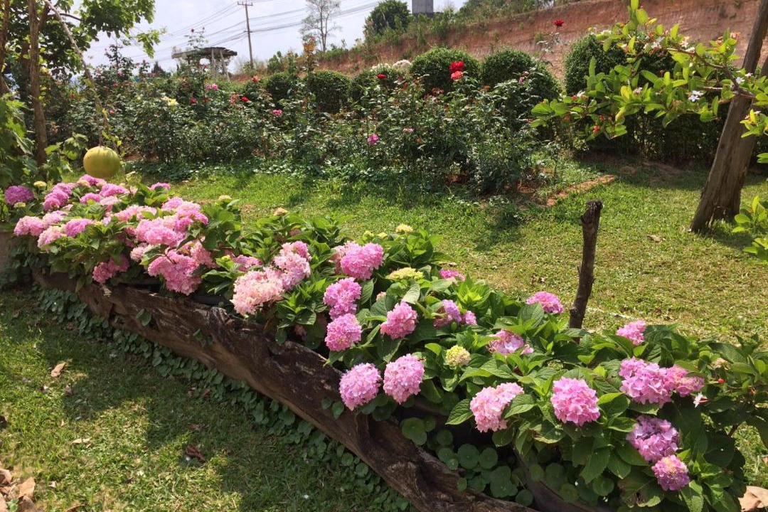 Phu Ruea Hotel | Phurua Bussaba Resort & Spa ภูเรือบุษบารีสอร์ท แอนด์ สปา