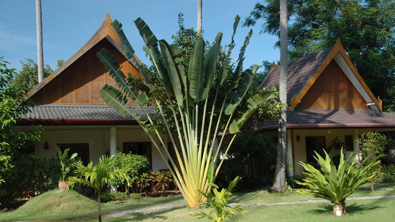 Photo of Outdoor in Rawai
