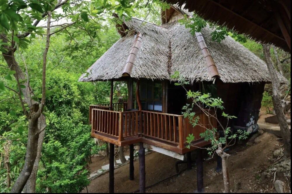Photo of Others in Koh Tao