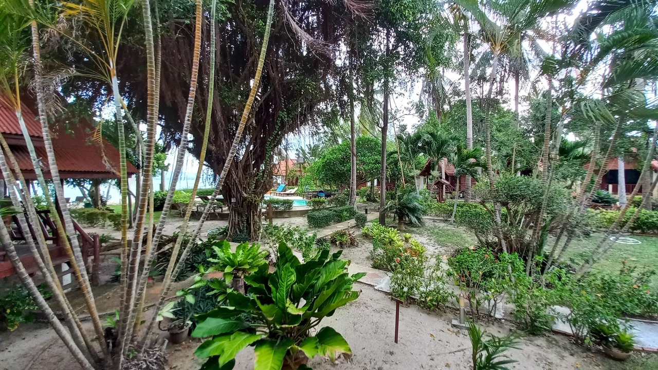Photo of Outdoor in Baan Tai