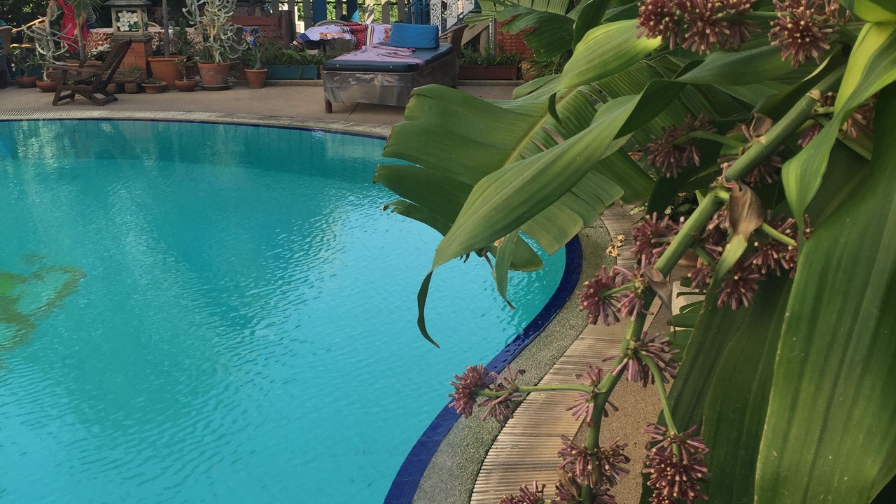 Photo of Others in Bang Phli