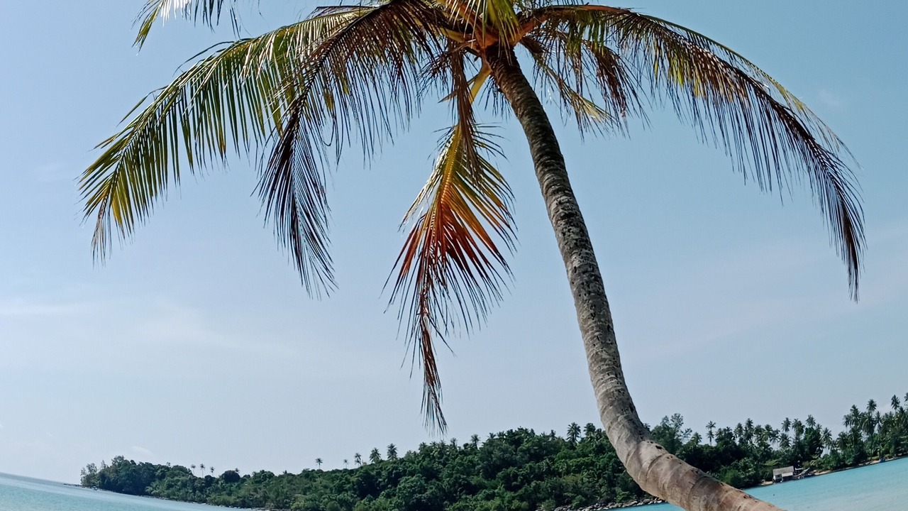 Photo of Outdoor in Ko Kood