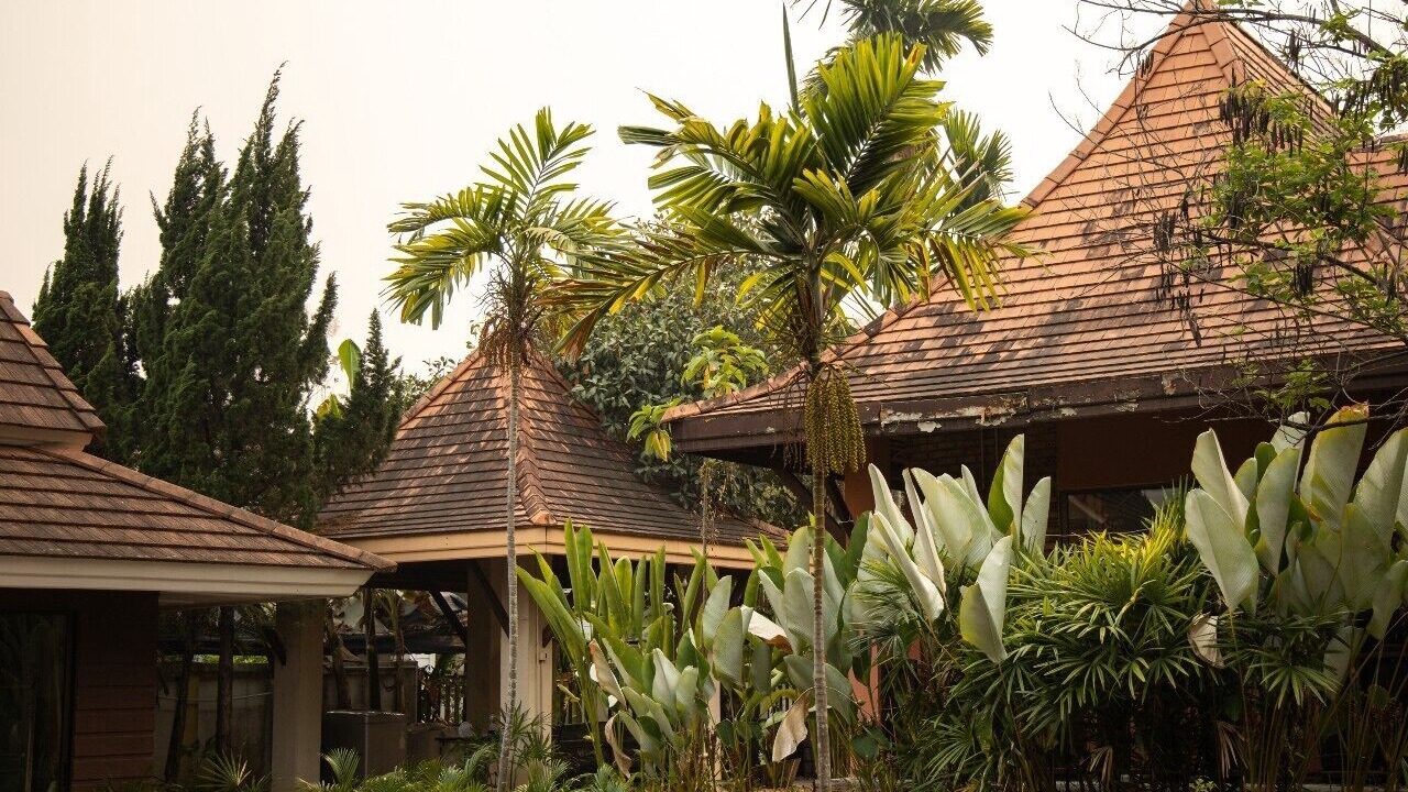 Photo of Outdoor in Su Thep