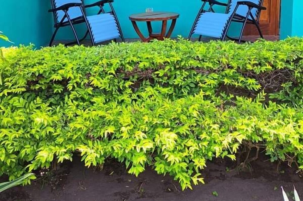 Photo of Outdoor in Ometepe Island