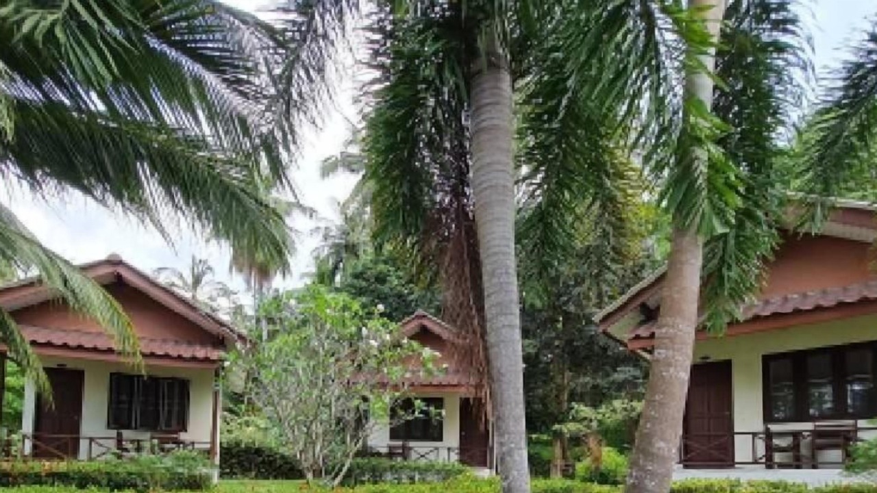Photo of Outdoor in Wok Tum