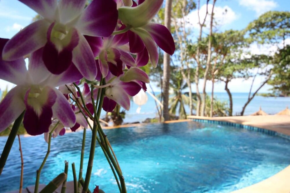Photo of Others in Ko Lanta