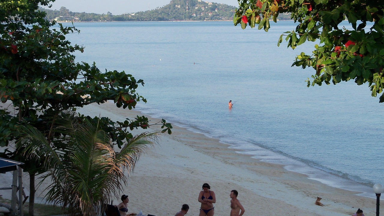 Photo of Others in Lamai