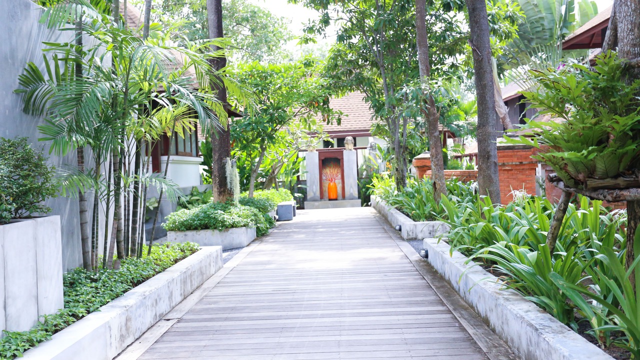 Photo of Outdoor in Lamai
