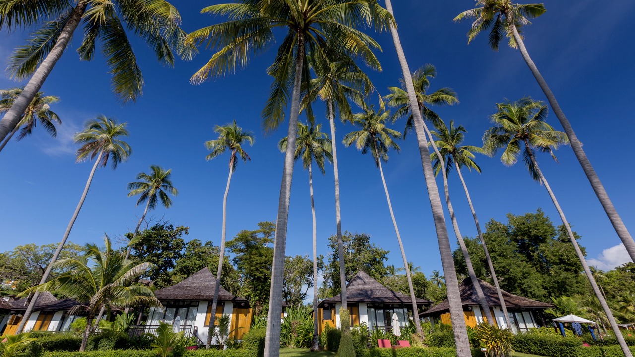 Photo of Outdoor in Rawai