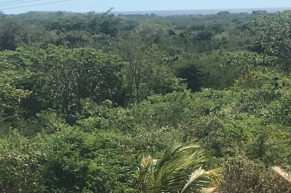 Photo of Outdoor in Rancho Santana