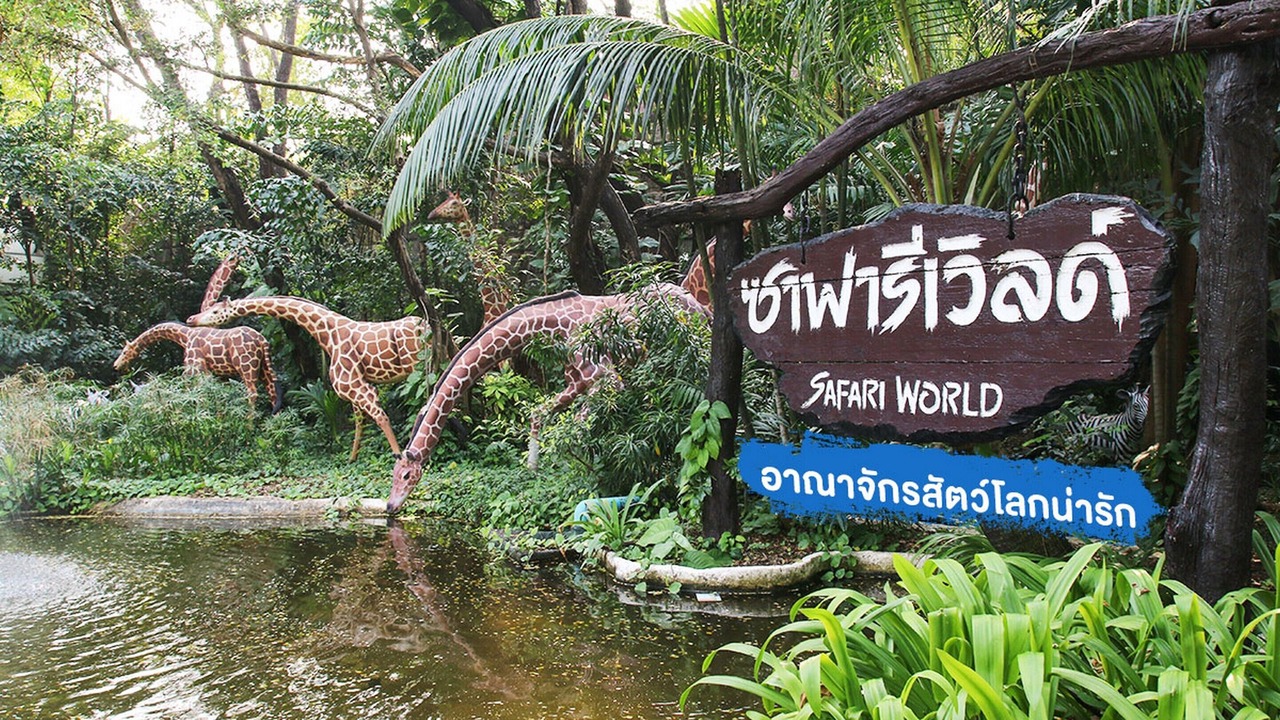 Photo of Others in Rangsit