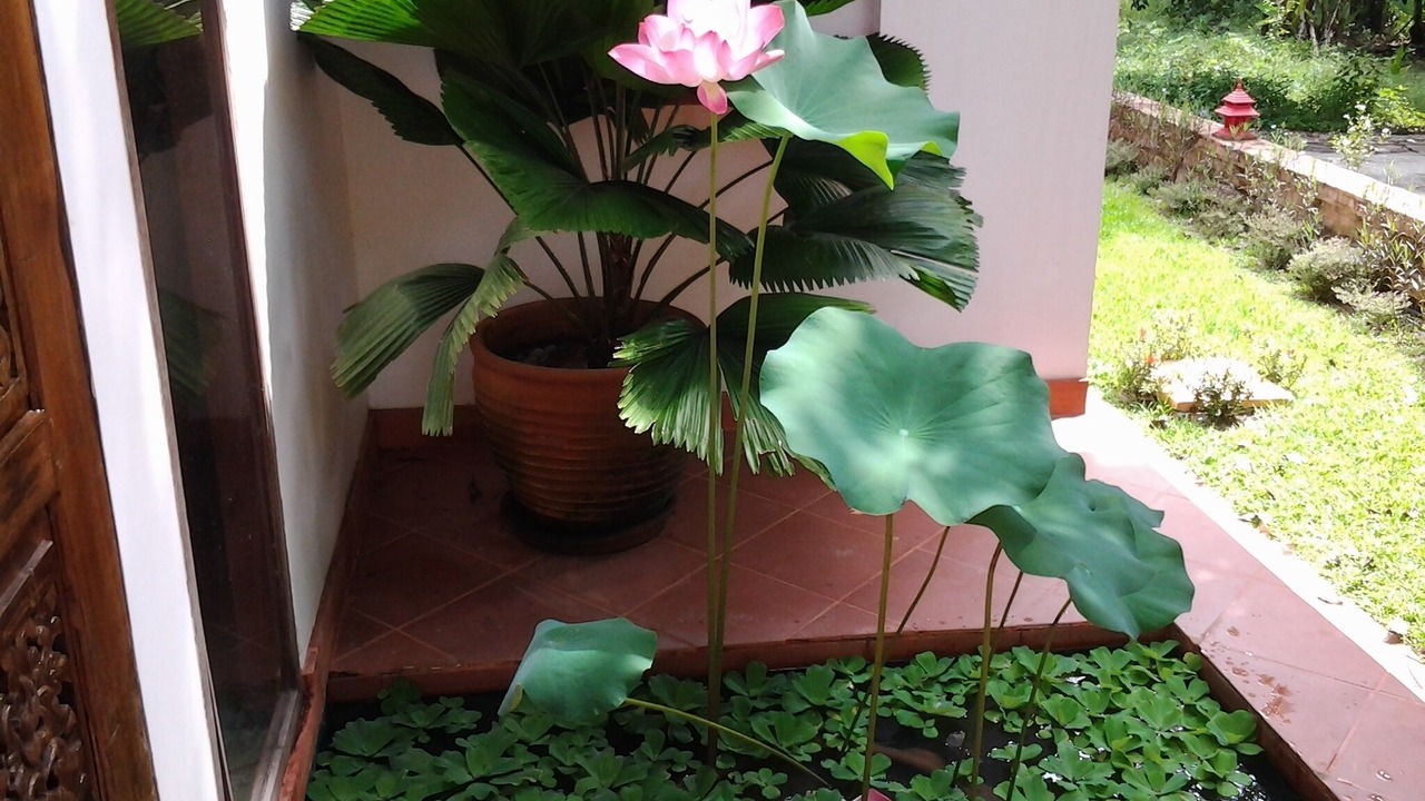 Photo of Outdoor in Mae Nam
