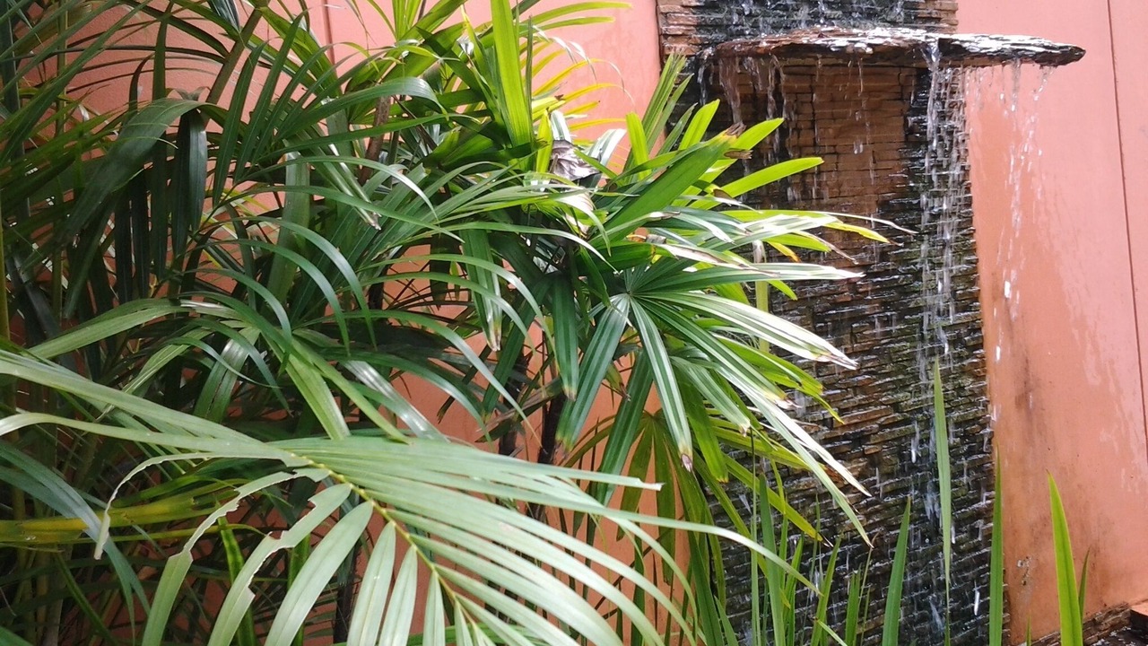 Photo of Outdoor in Mae Nam