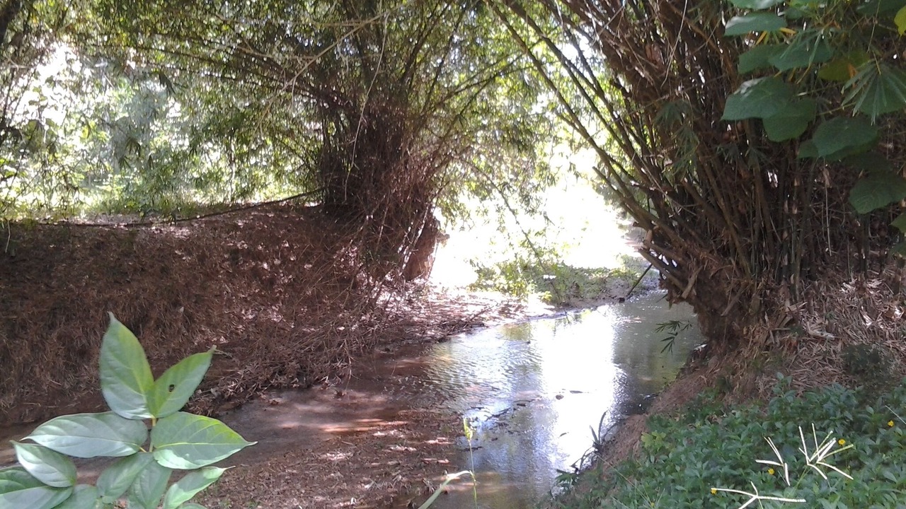 Photo of Outdoor in Mae Nam