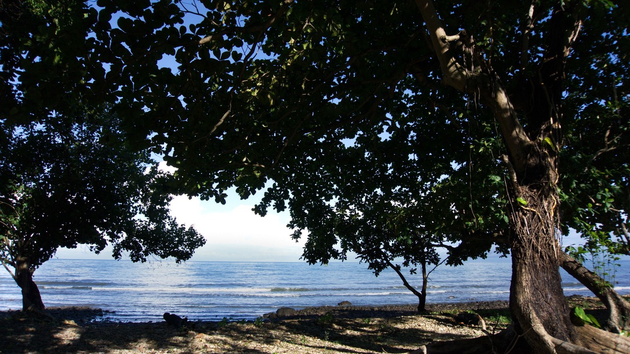 Photo of Others in Ko Chang