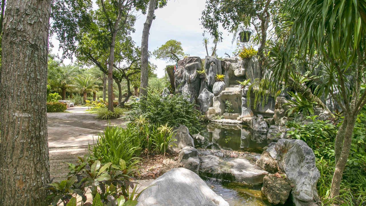 Photo of Outdoor in Nong Nam Daeng