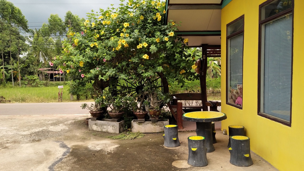 Photo of Outdoor in Si Maha Phot