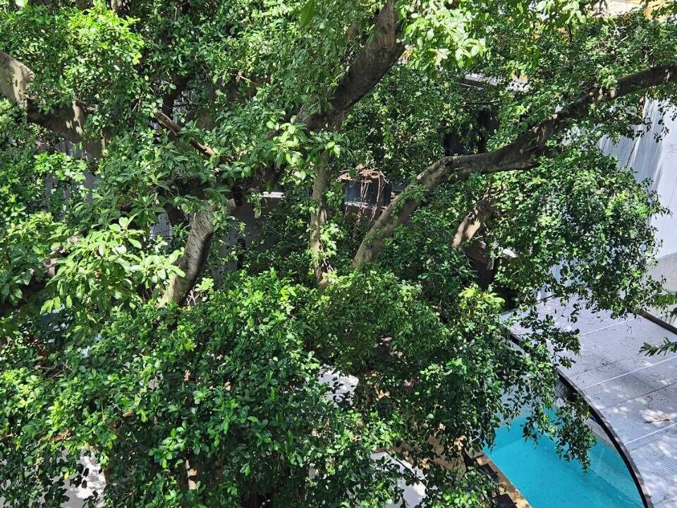 Photo of Outdoor in Wat Sam Phraya