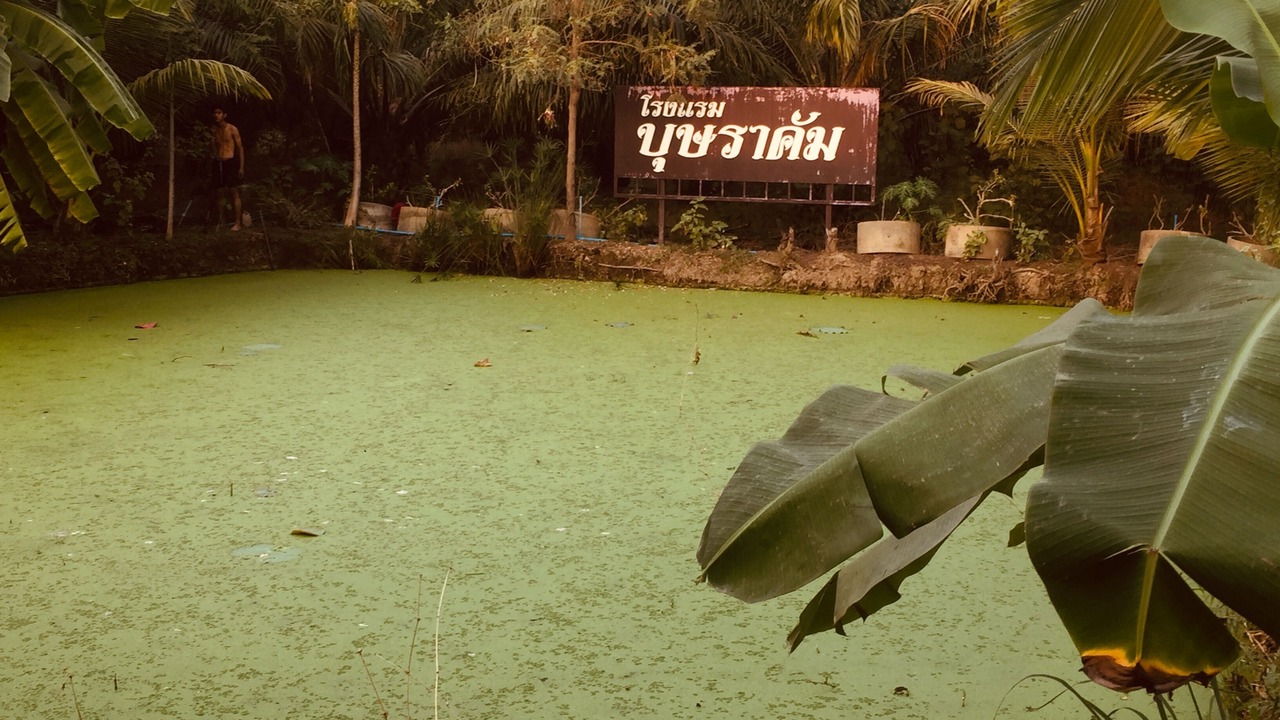 Photo of Outdoor in Tha Muang