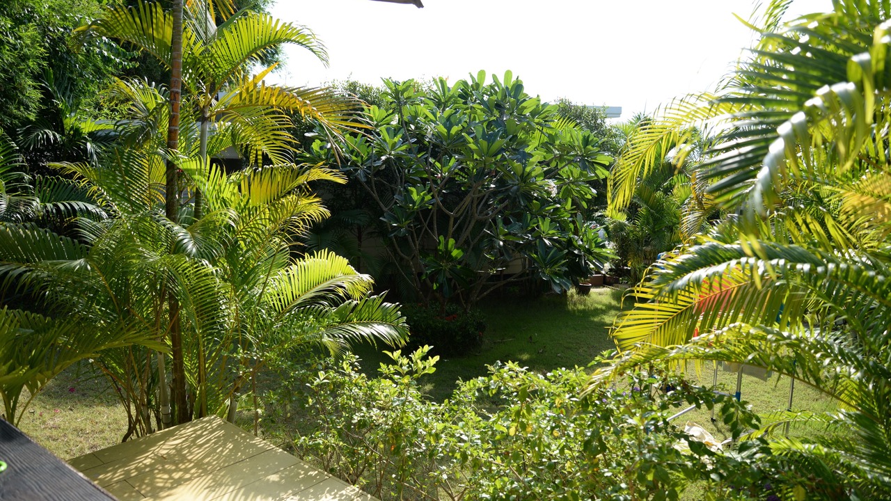 Photo of Outdoor in Bang Sare