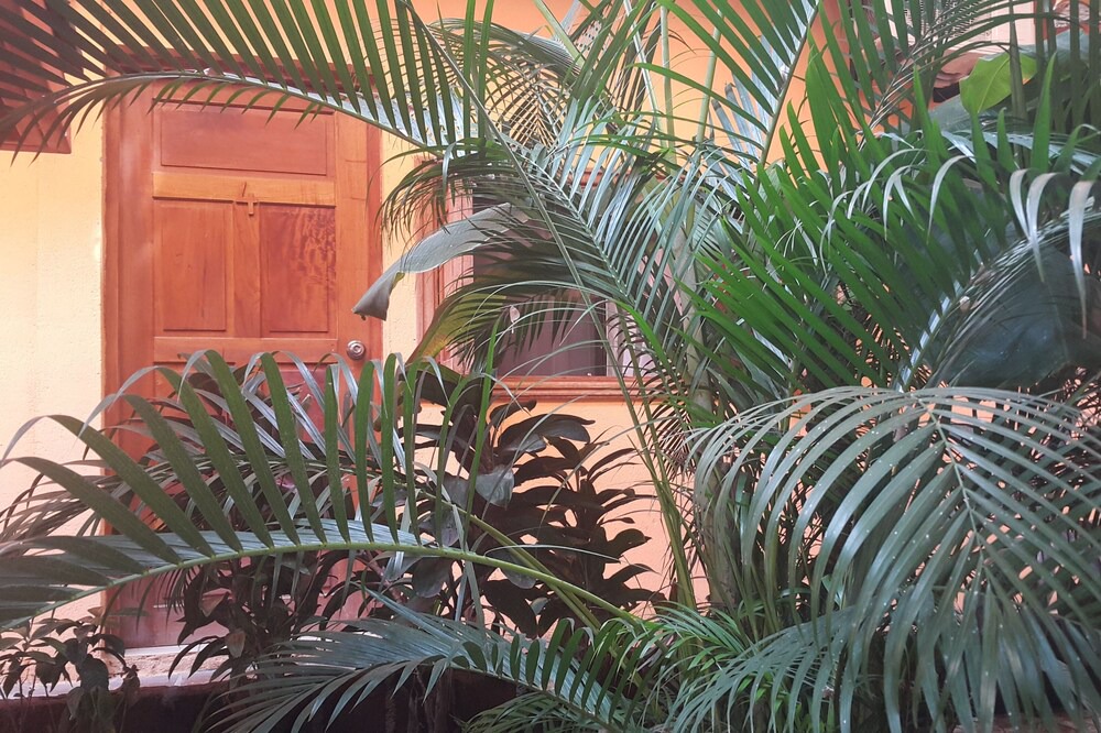 Photo of Others in Granada