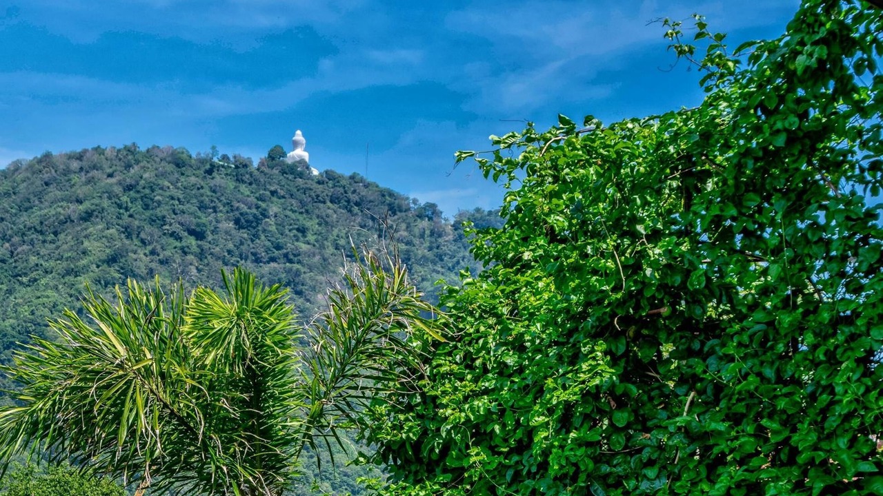 Photo of Outdoor in Kata