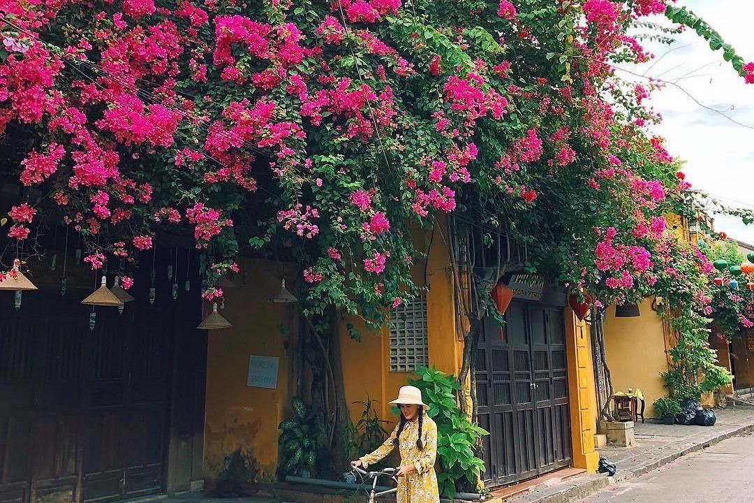 Photo of Outdoor in Cam Chau