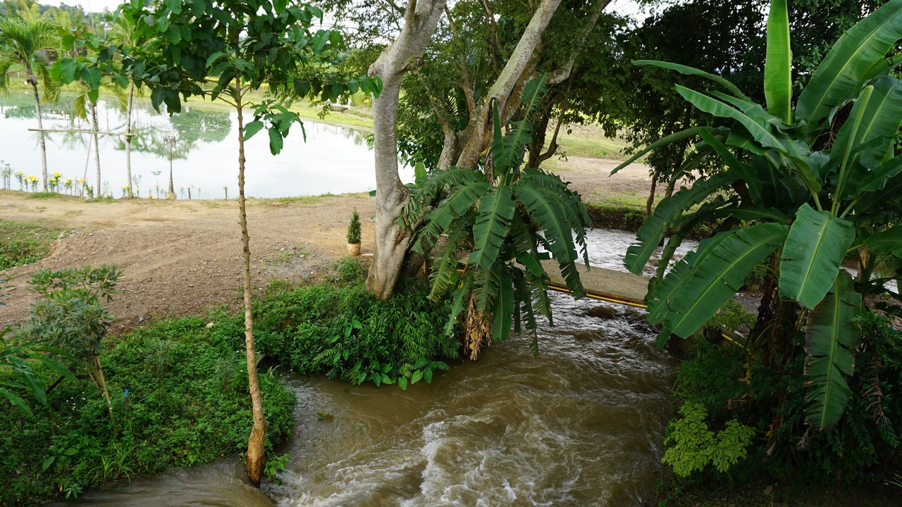 Photo of Bedroom in Chiang Dao