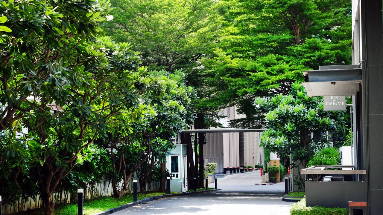Photo of Outdoor in Chidlom