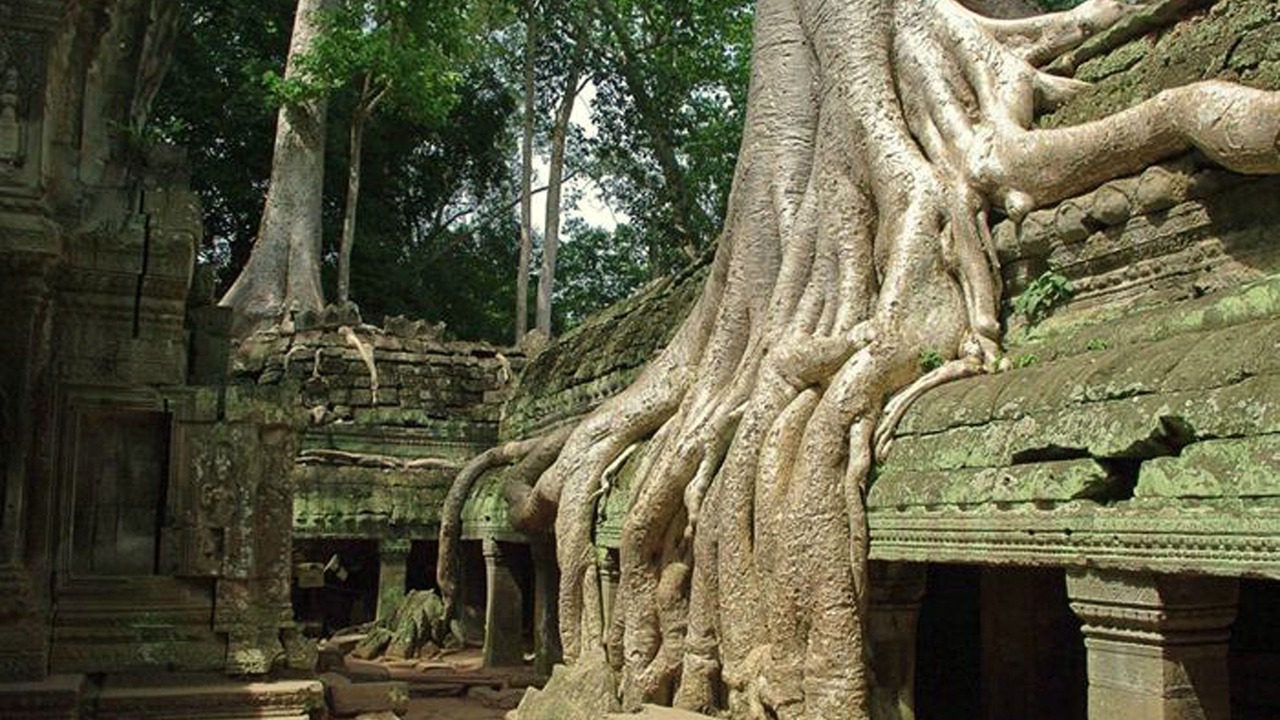 Photo of Outdoor in Downtown Siem Reap