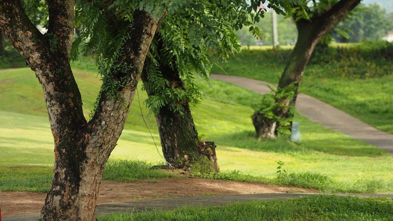 Photo of Outdoor in Sarika