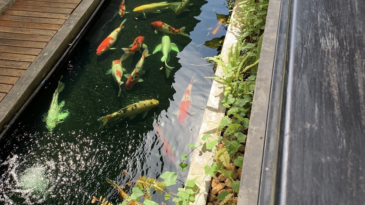 Photo of Patio Balcony in Mae Sot