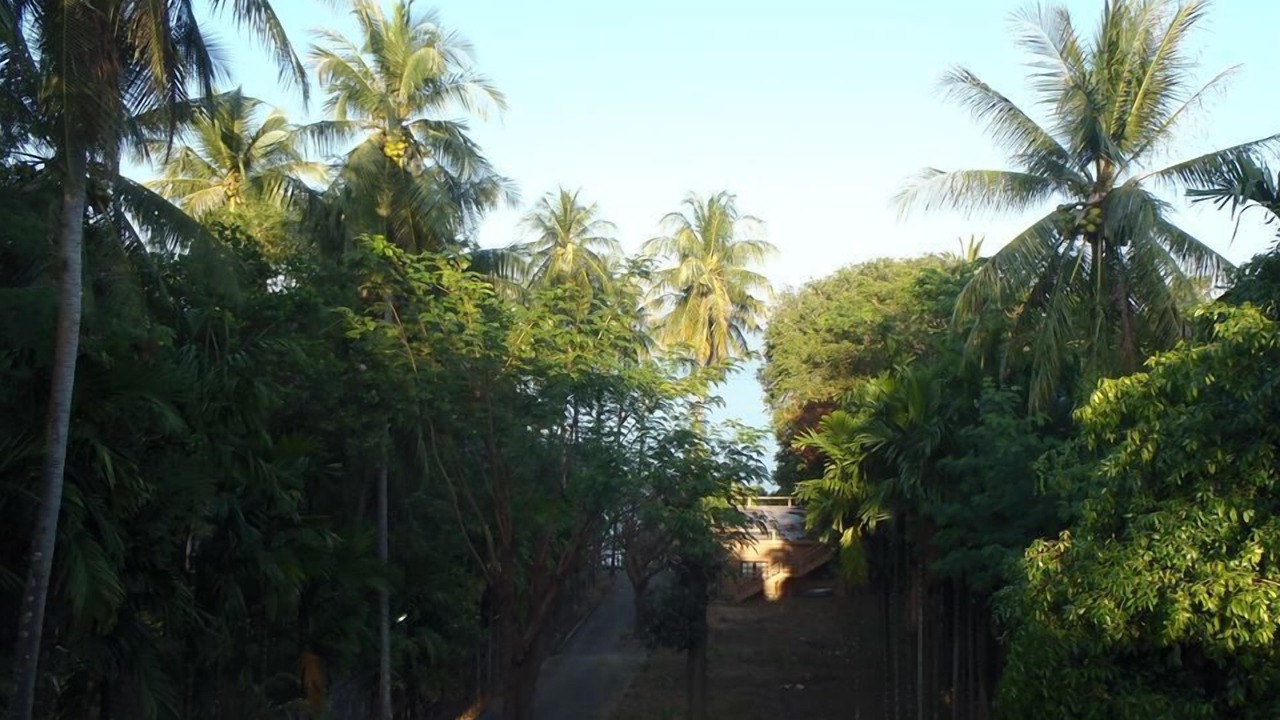 Photo of Others in Rawai