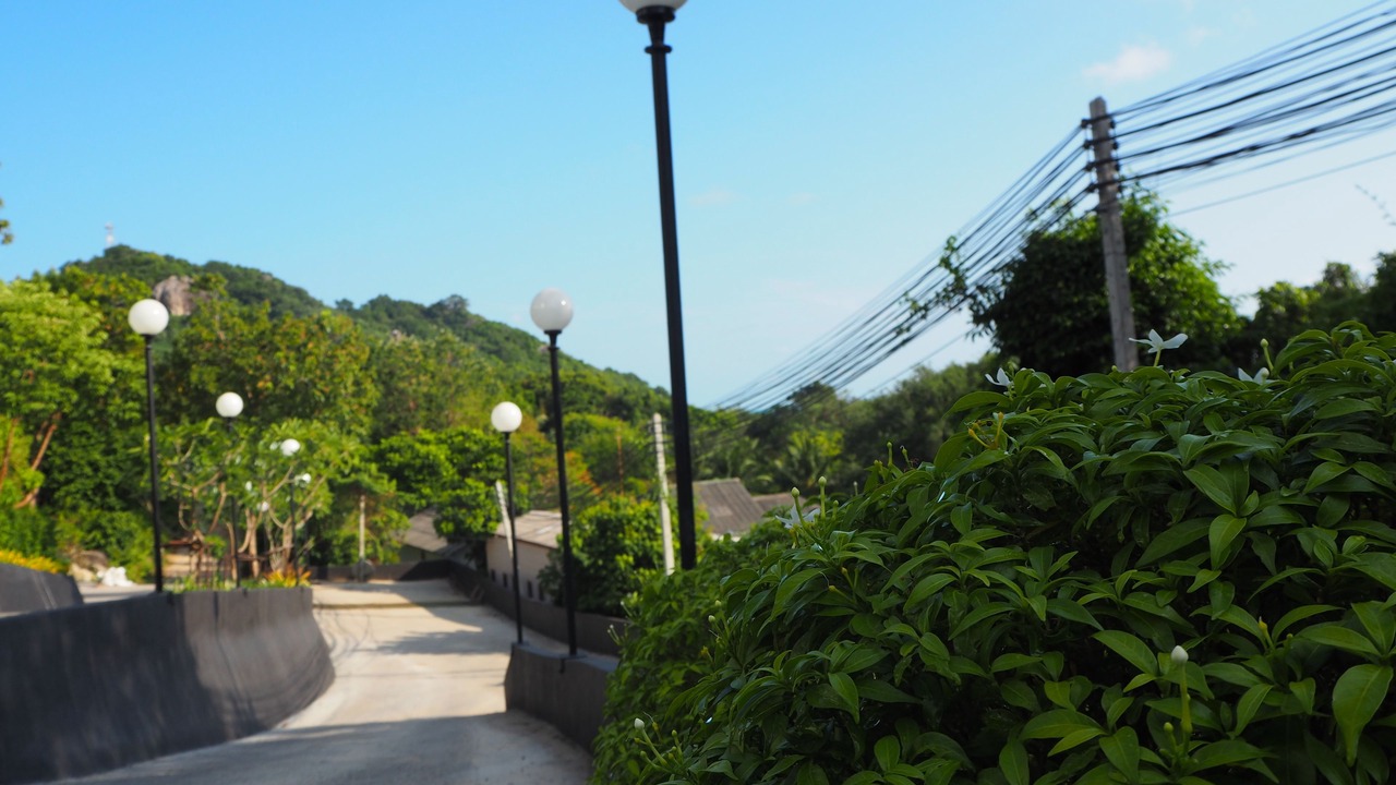 Photo of Outdoor in Baan Tai