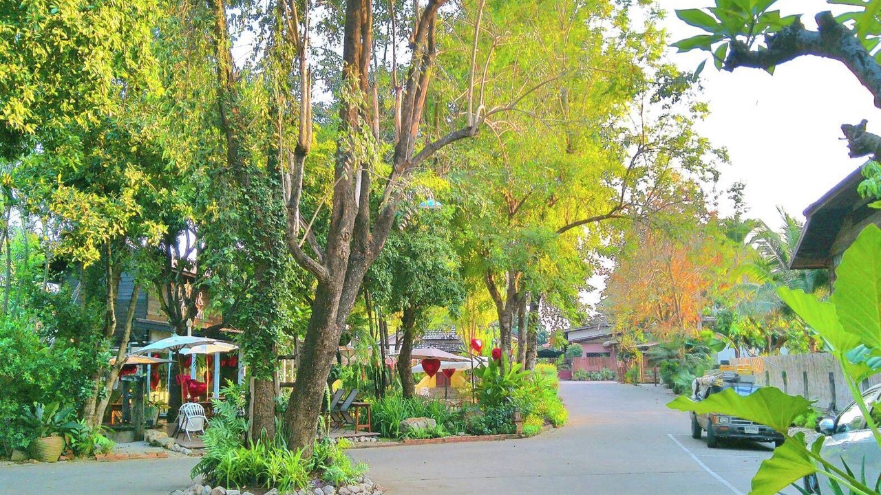 Photo of Outdoor in Wiang Nuea