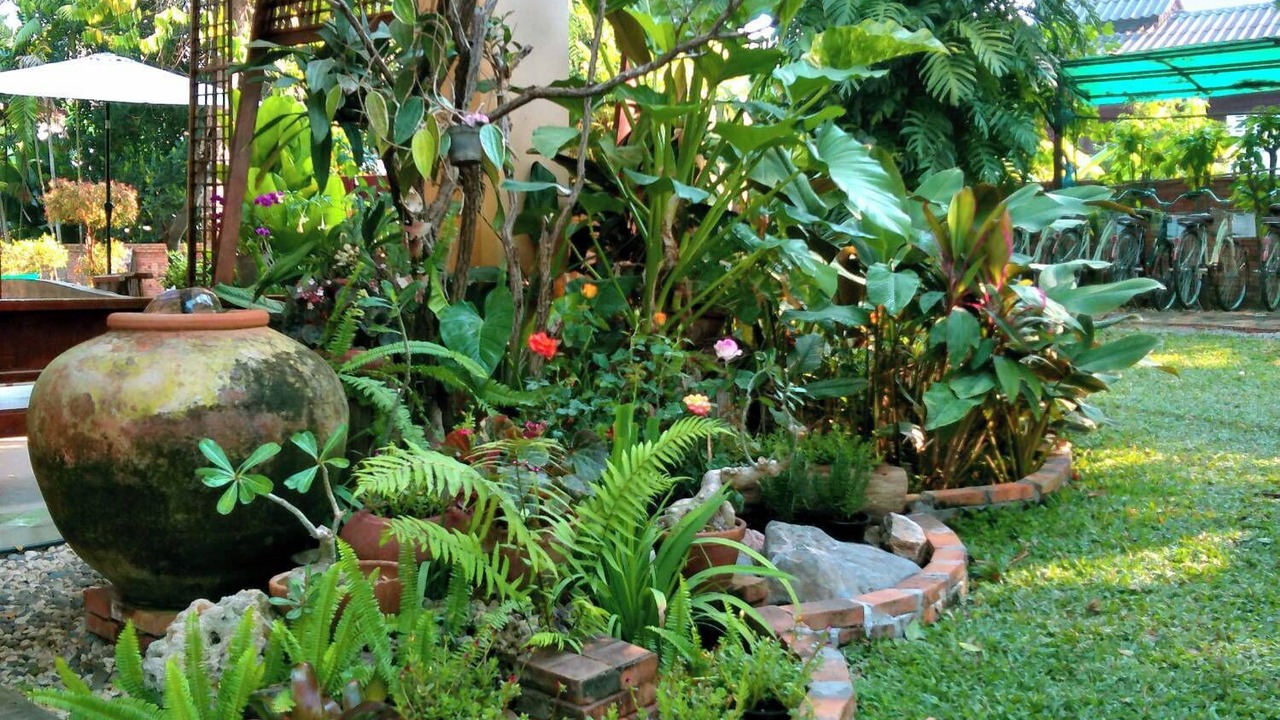Photo of Outdoor in Wiang Nuea