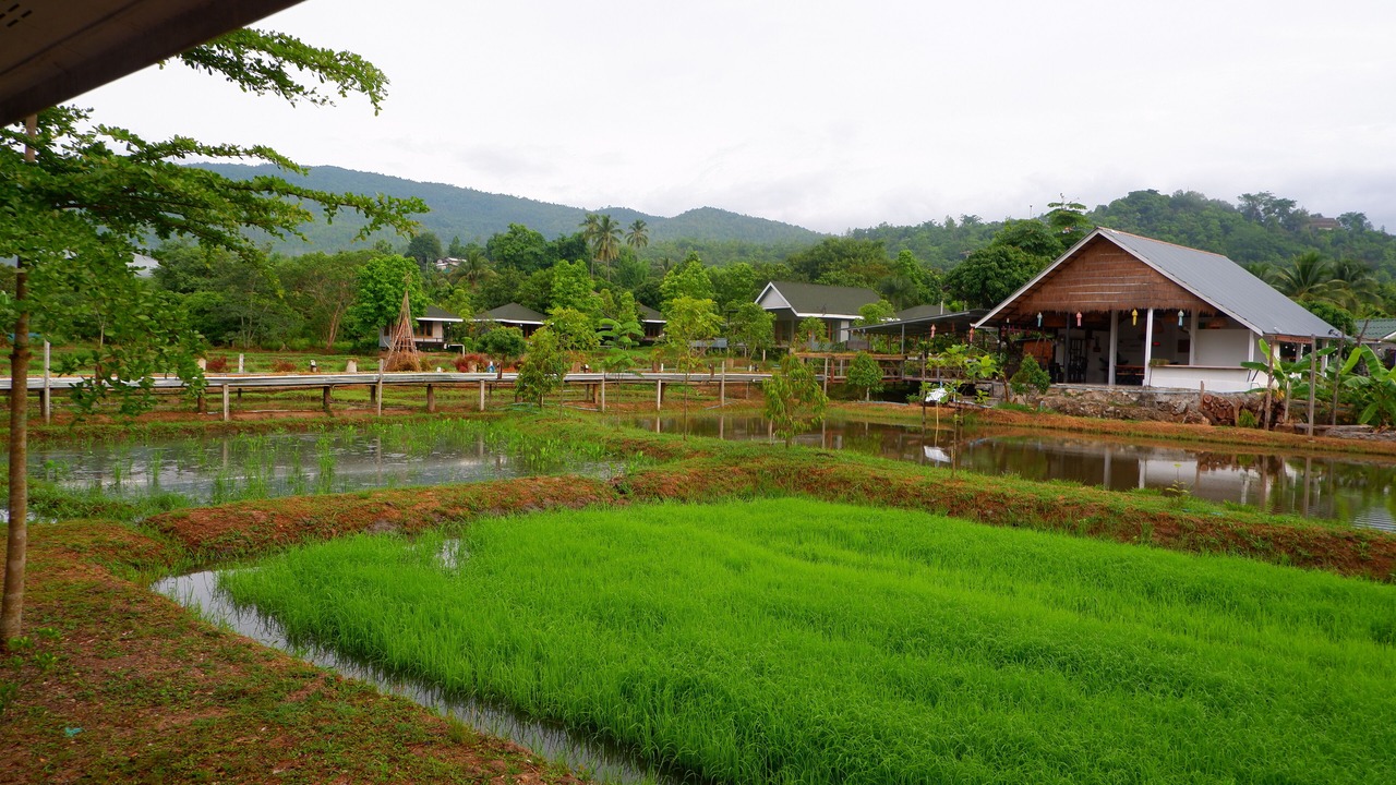 Photo of Outdoor in Ban Luang