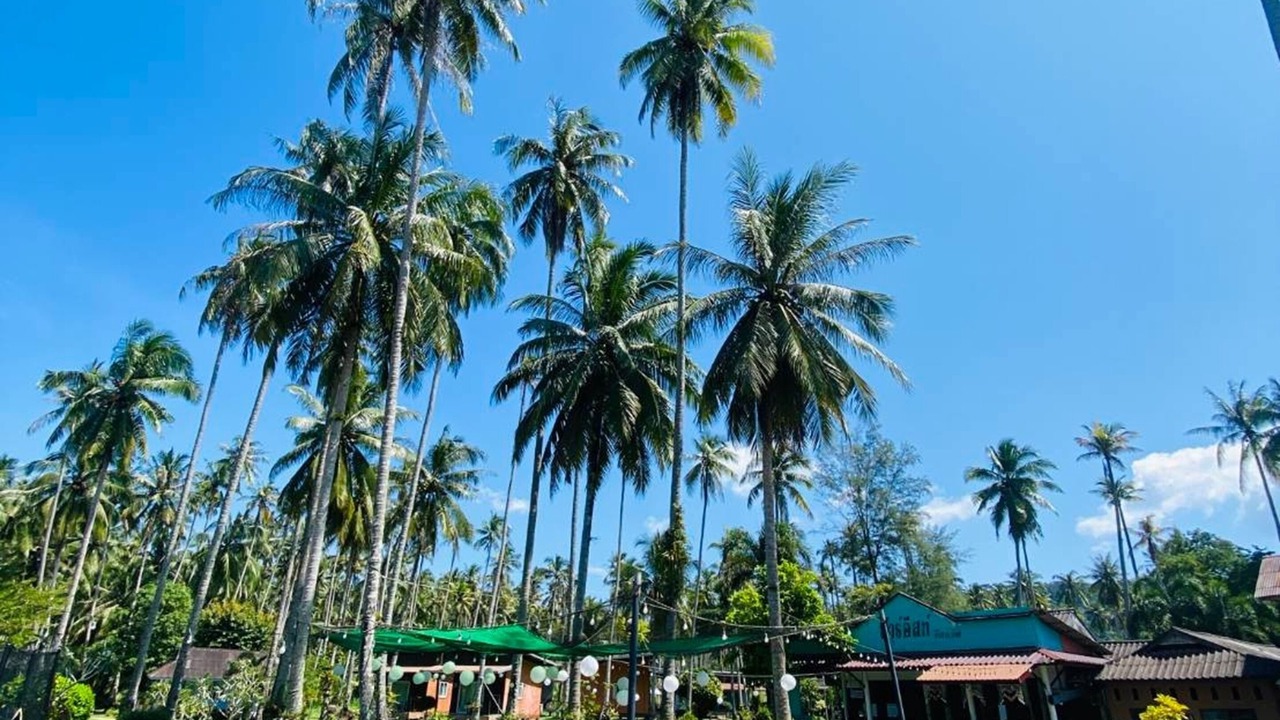 Photo of Outdoor in Ko Kood