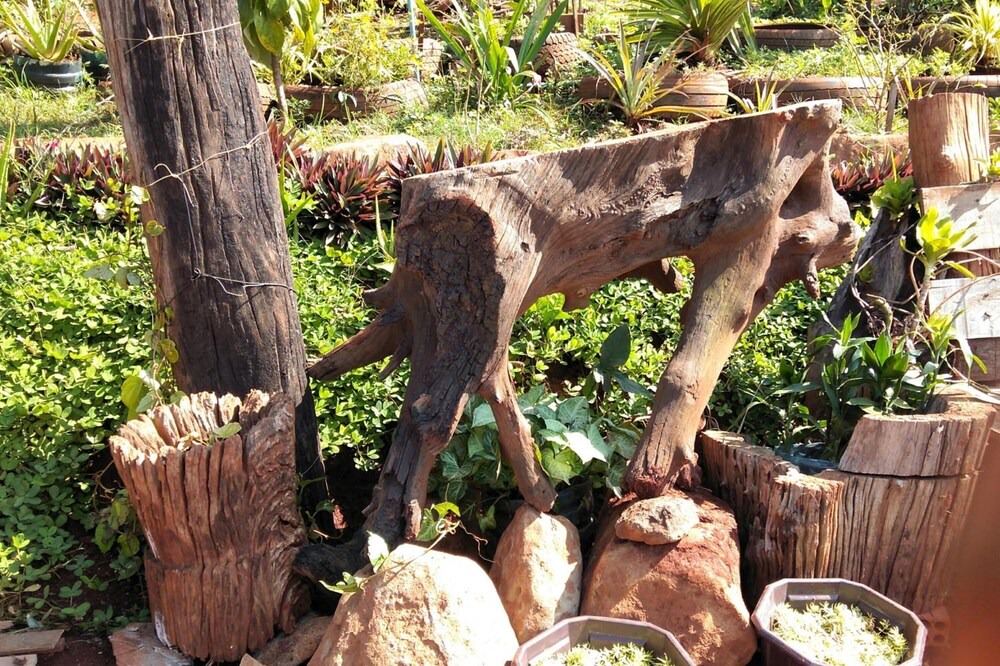 Photo of Outdoor in Ban Lung
