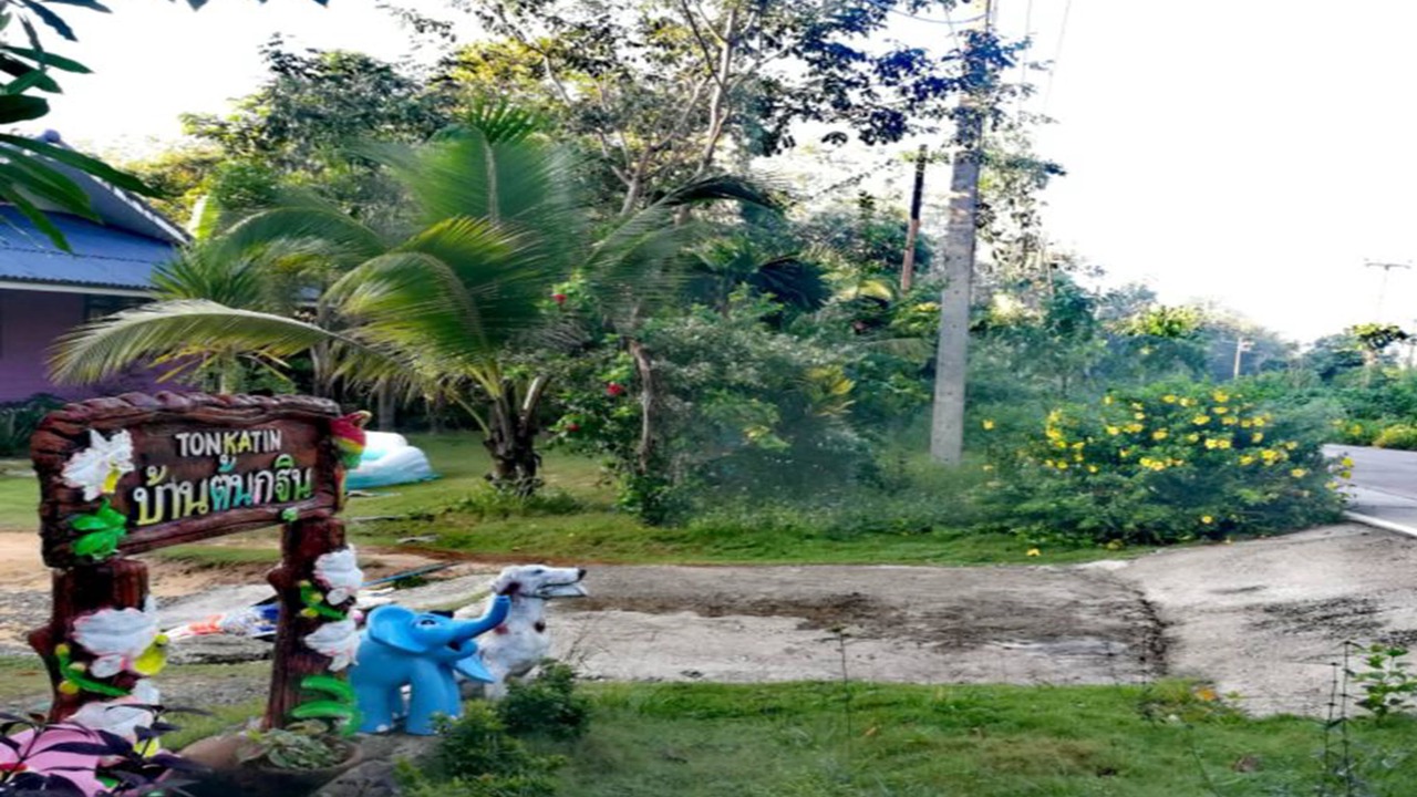 Photo of Outdoor in Ko Kood