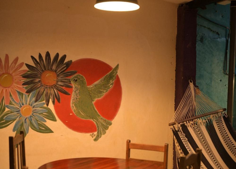 Photo of Livingroom in Leon