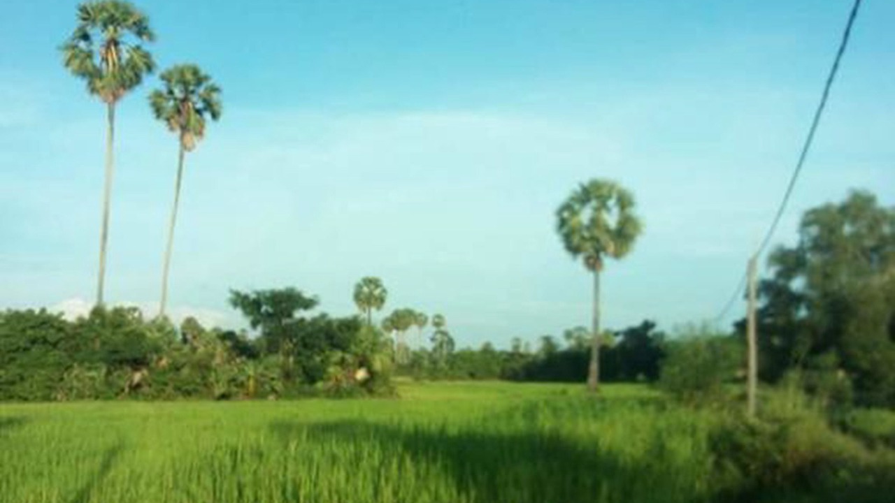 Photo of Outdoor in Siem Reap