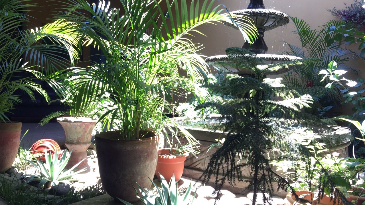 Photo of Outdoor in Leon