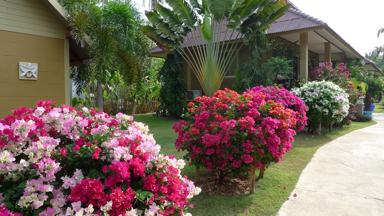 Photo of Outdoor in Ko Lanta