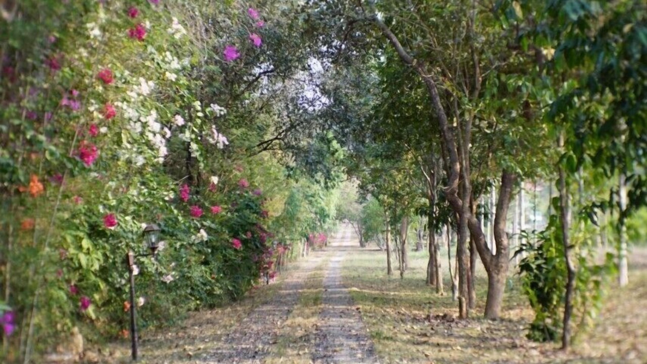 Photo of Outdoor in Suan Phueng